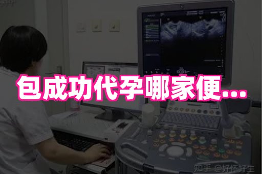 梦美助孕网 1