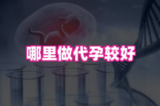 梦美助孕网 3