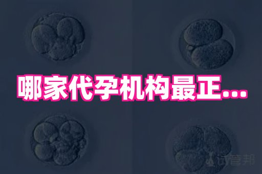 梦美助孕网 4